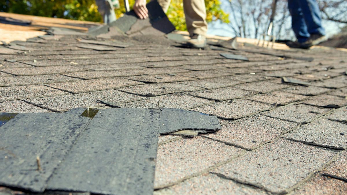 Restoration Specialists for Spring Storm Damage